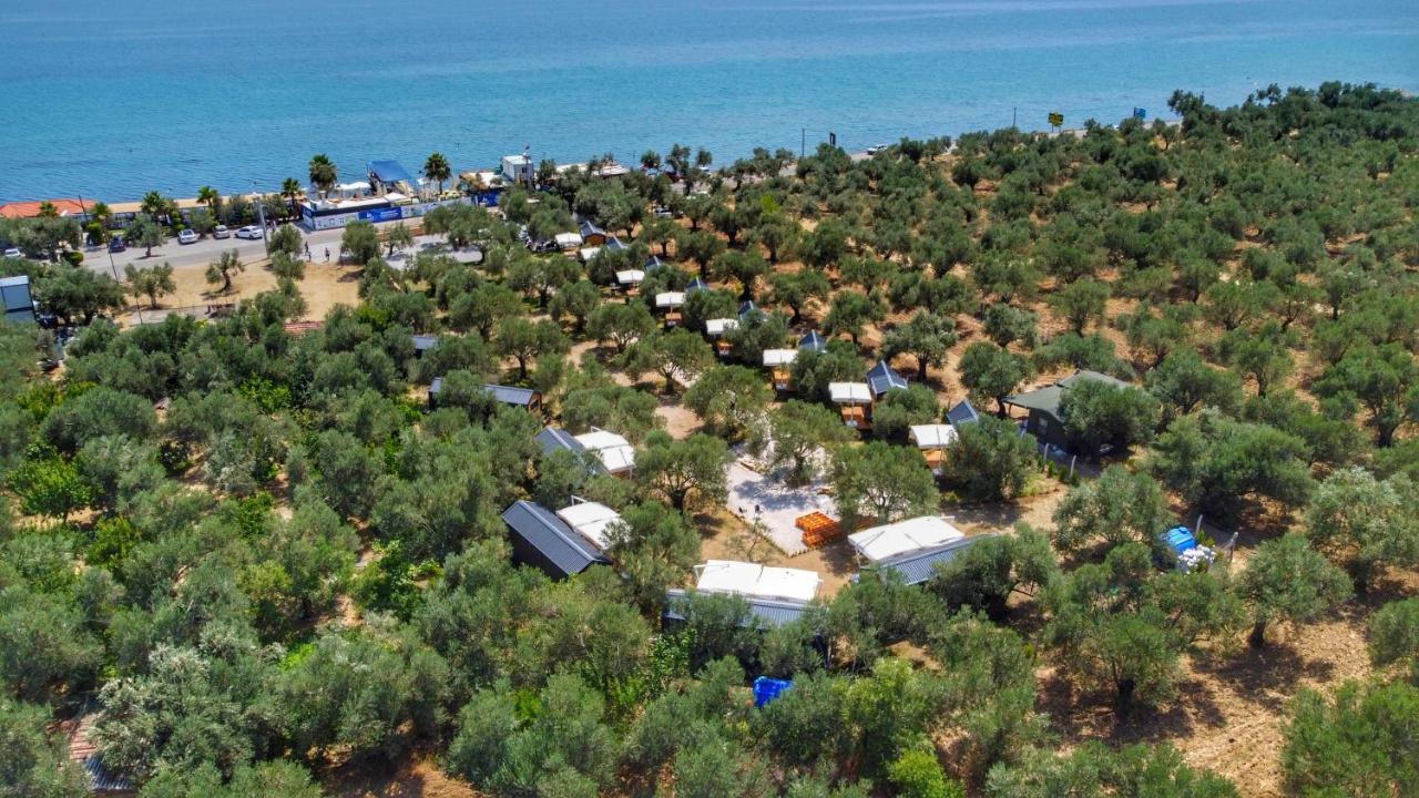 Gulet Tiny House Hotel Ayvacik Ngoại thất bức ảnh