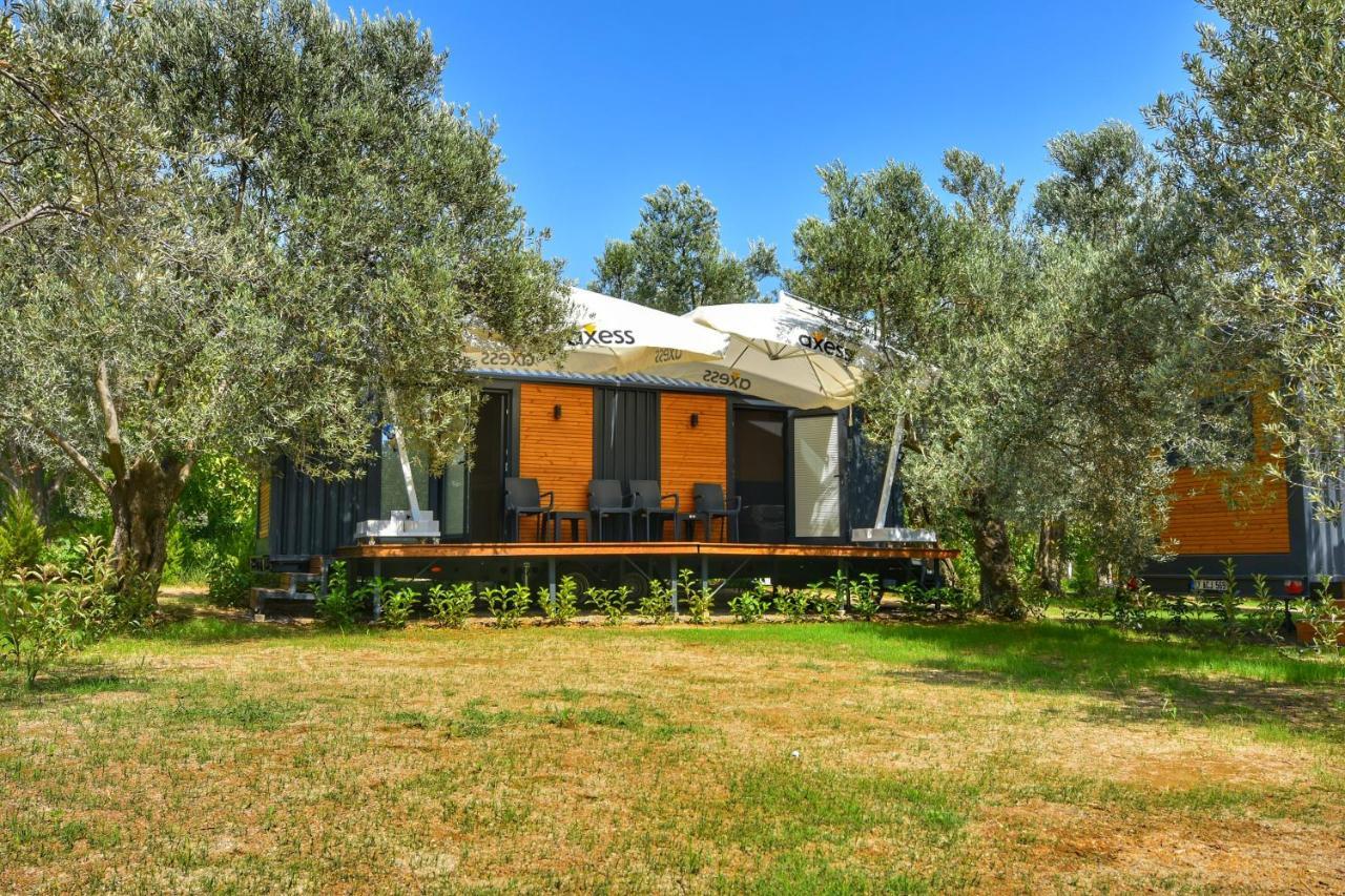 Gulet Tiny House Hotel Ayvacik Ngoại thất bức ảnh